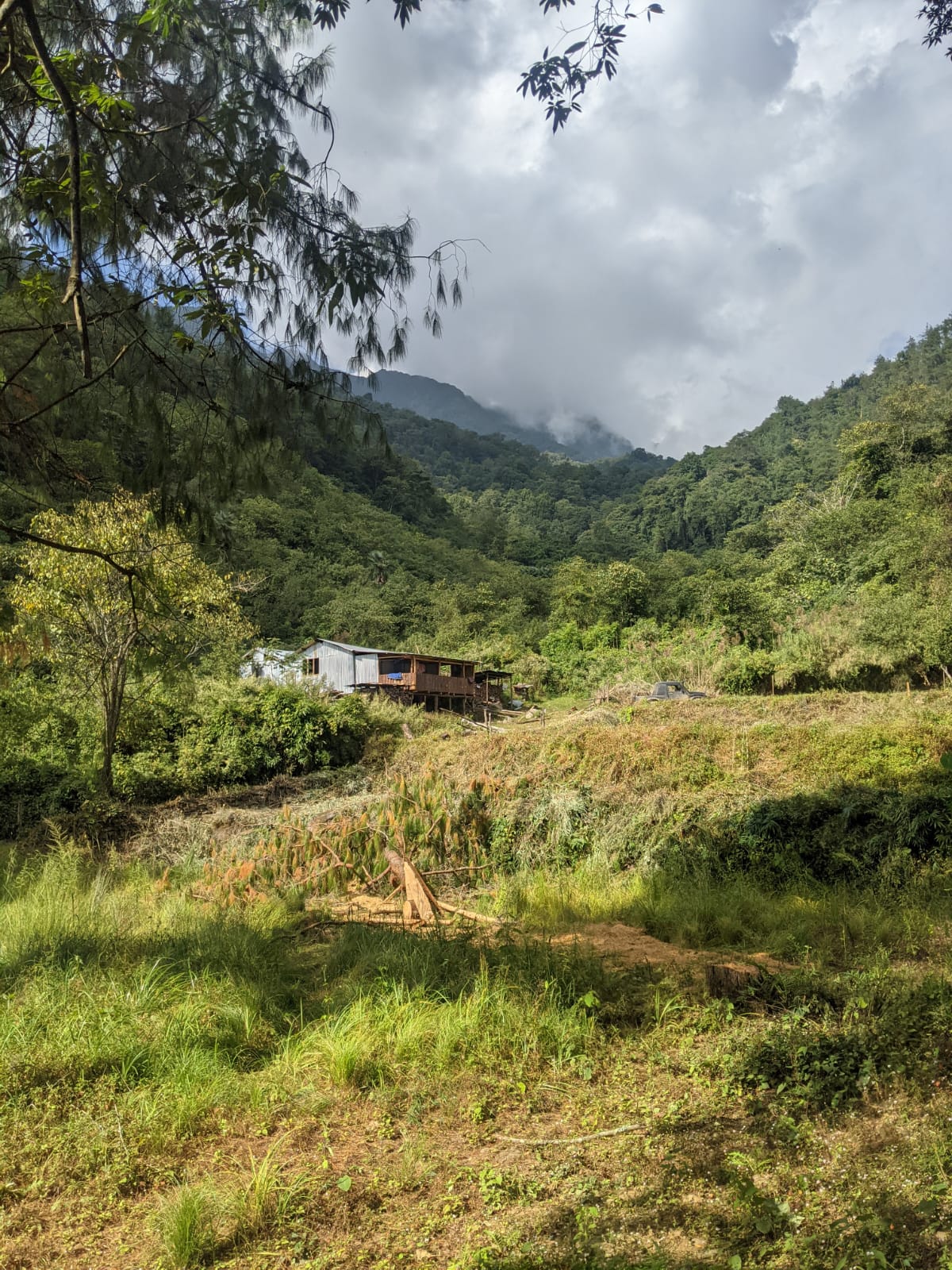 A cabin in Dzüleke surrounded by lush green hills and misty mountains