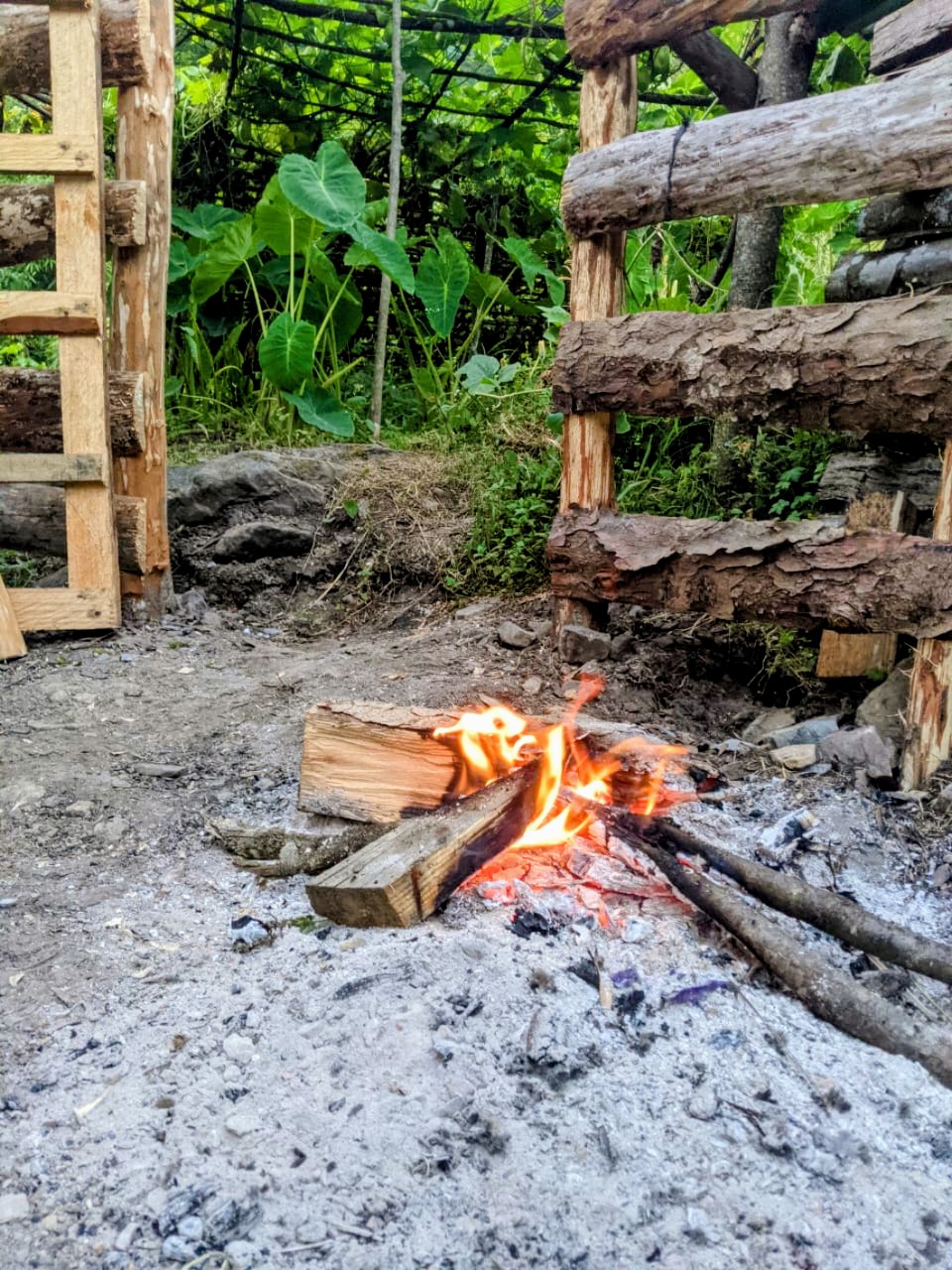 Firewood burning in an outdoor fire pit in Dzüleke