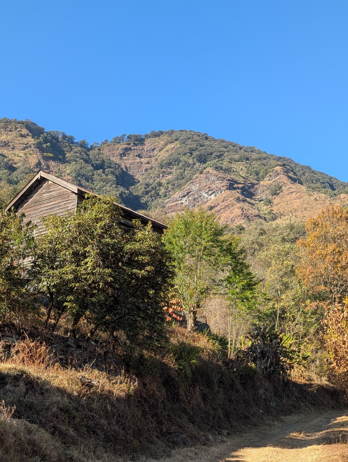 Dzüleke landscape in late autumn — golden brown hills under clear skies