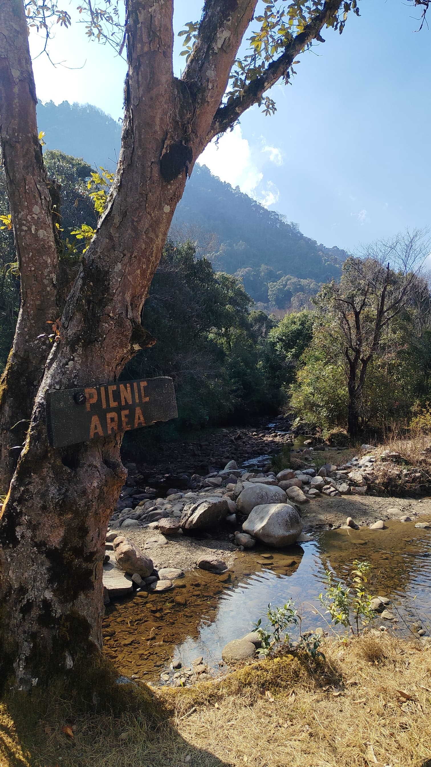A riverside picnic area with a hand-painted sign on a tree near Dzüleke