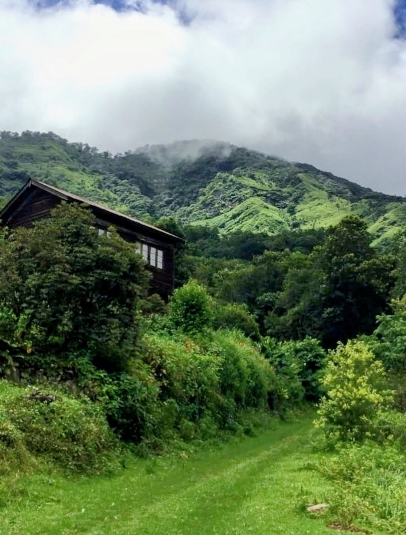 Dzüleke landscape during spring monsoon — lush green hills draped in mist