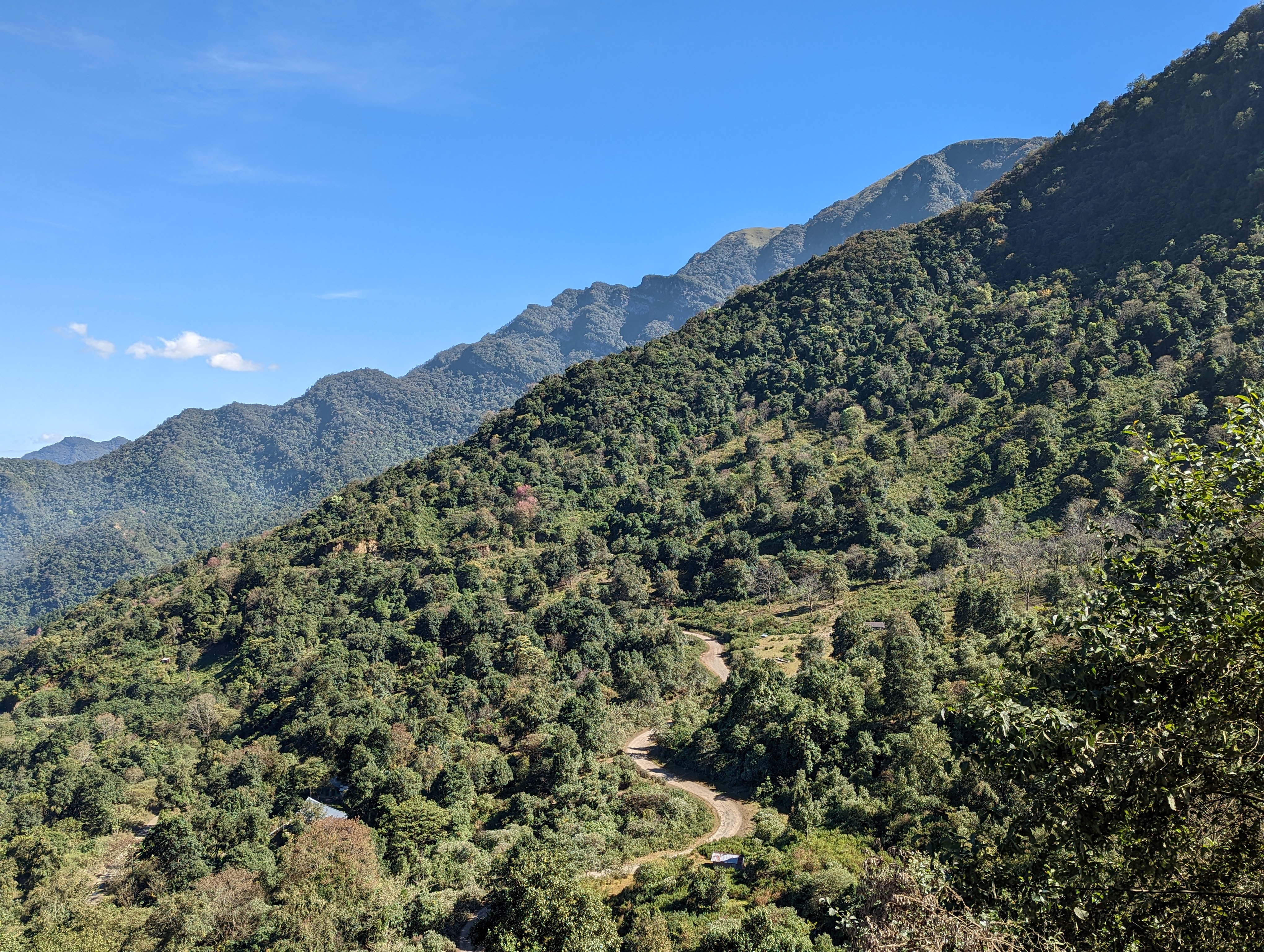 A winding mountain road cutting through dense green hills on the way to Dzüleke